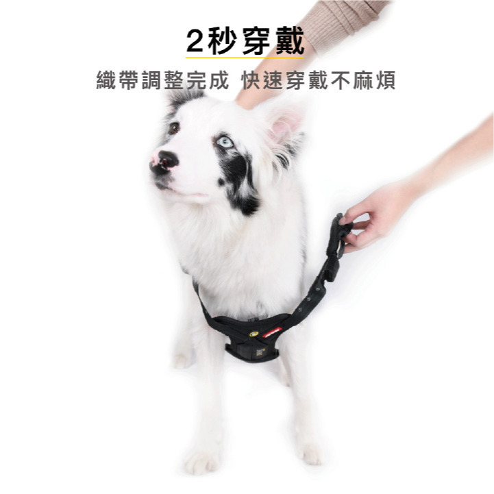 【福爾摩沙寵物精品】澳洲EZYDOG 全方位車用防護胸背帶 狗狗車用防護胸背帶｜防衝撞狗體記憶胸墊-細節圖5