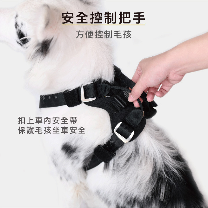 【福爾摩沙寵物精品】澳洲EZYDOG 全方位車用防護胸背帶 狗狗車用防護胸背帶｜防衝撞狗體記憶胸墊-細節圖6