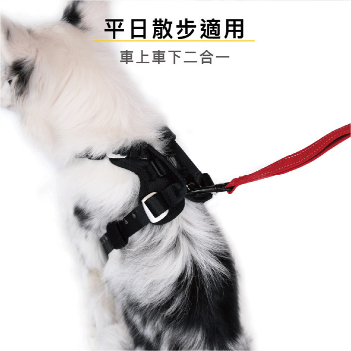 【福爾摩沙寵物精品】澳洲EZYDOG 全方位車用防護胸背帶 狗狗車用防護胸背帶｜防衝撞狗體記憶胸墊-細節圖7