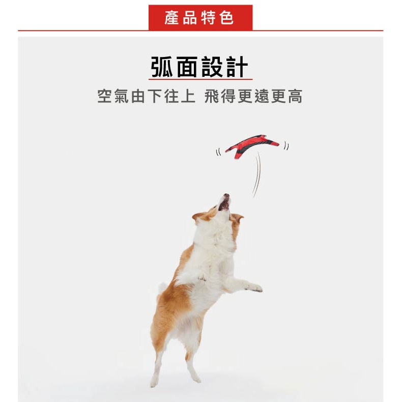 【福爾摩沙寵物精品】澳洲 EzyDog 四角飛盤 | 狗狗玩具 | 寵物玩具 | 舒壓玩具 | 方便攜帶-細節圖2