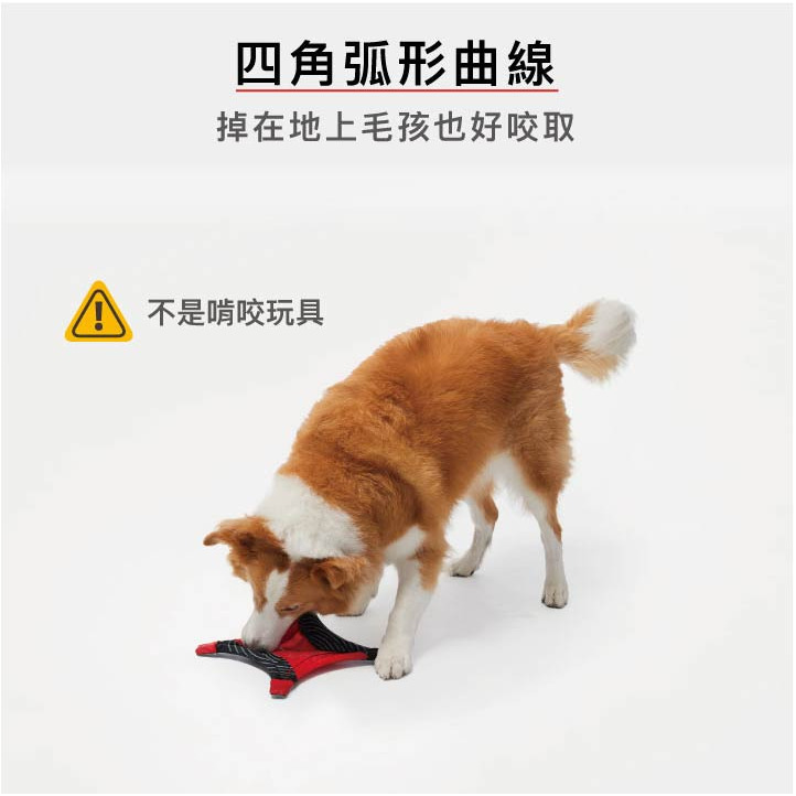 【福爾摩沙寵物精品】澳洲 EzyDog 四角飛盤 | 狗狗玩具 | 寵物玩具 | 舒壓玩具 | 方便攜帶-細節圖4