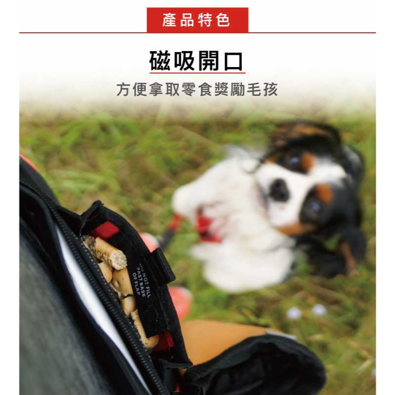 【福爾摩沙寵物精品】澳洲 EZYDOG 寵物零食袋 GO｜鬆緊帶型腰帶｜-細節圖3