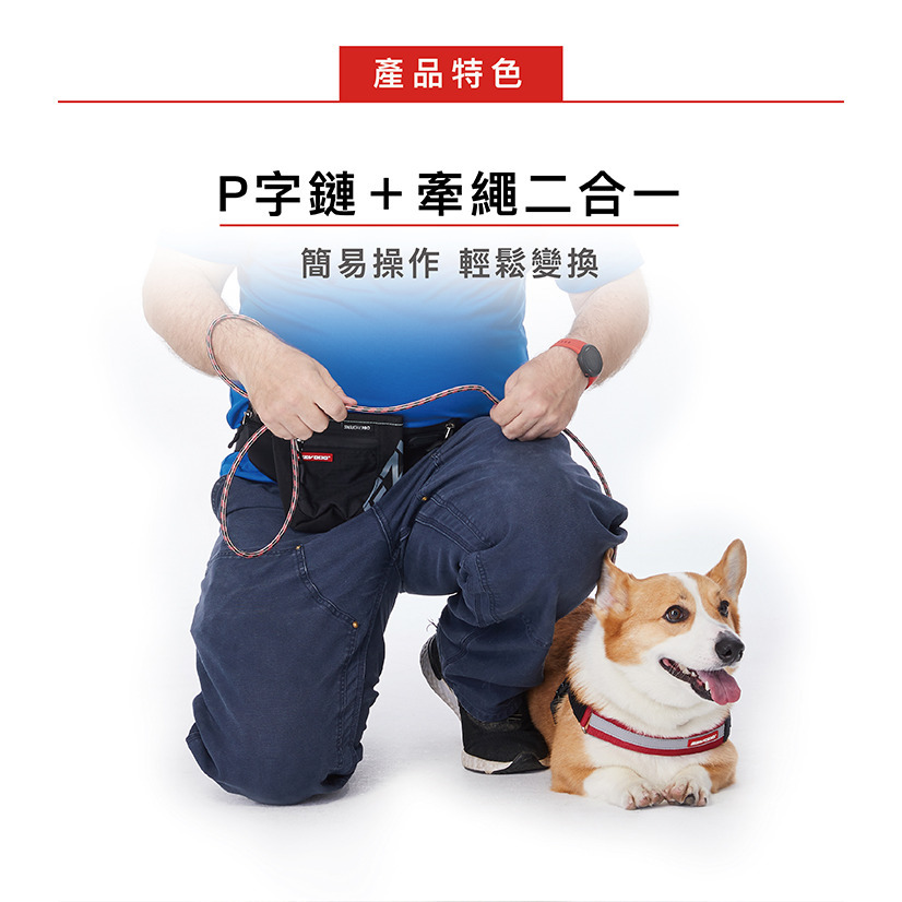 【福爾摩沙寵物精品】澳洲 EzyDog 路卡2合1牽繩170cm P字鍊+牽繩二合一-細節圖2