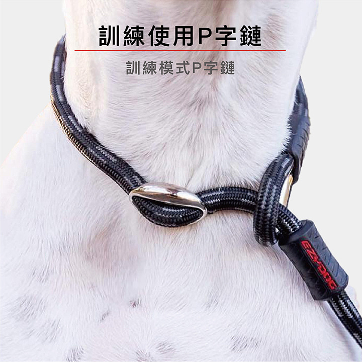 【福爾摩沙寵物精品】澳洲 EzyDog 路卡2合1牽繩170cm P字鍊+牽繩二合一-細節圖3