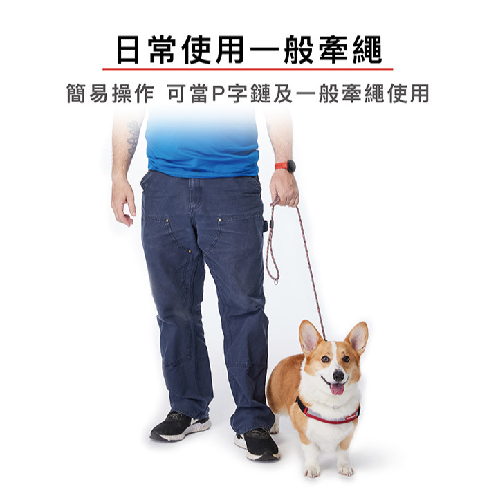 【福爾摩沙寵物精品】澳洲 EzyDog 路卡2合1牽繩170cm P字鍊+牽繩二合一-細節圖4