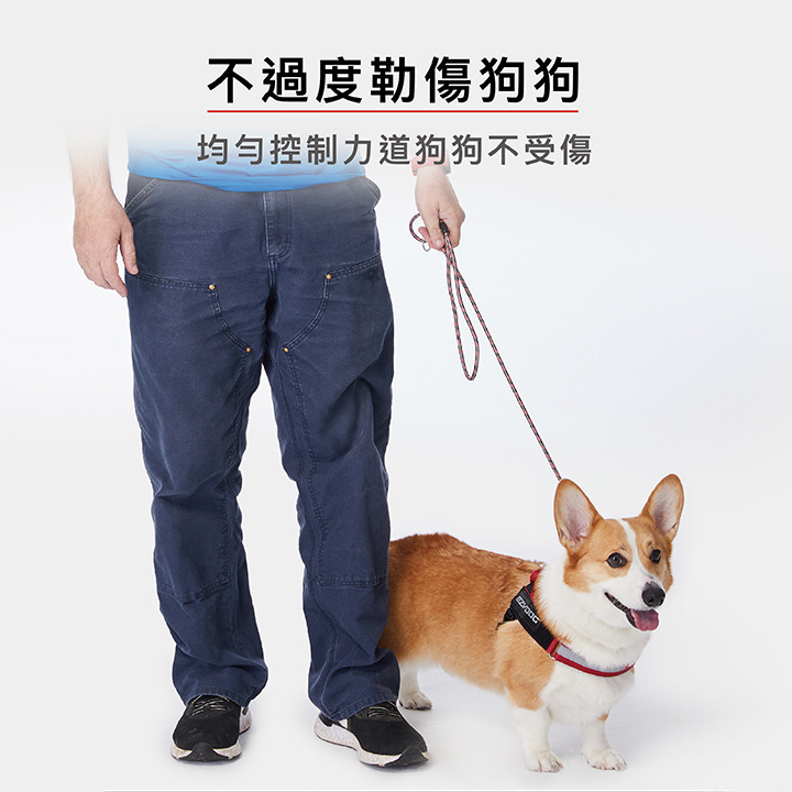 【福爾摩沙寵物精品】澳洲 EzyDog 路卡2合1牽繩170cm P字鍊+牽繩二合一-細節圖5