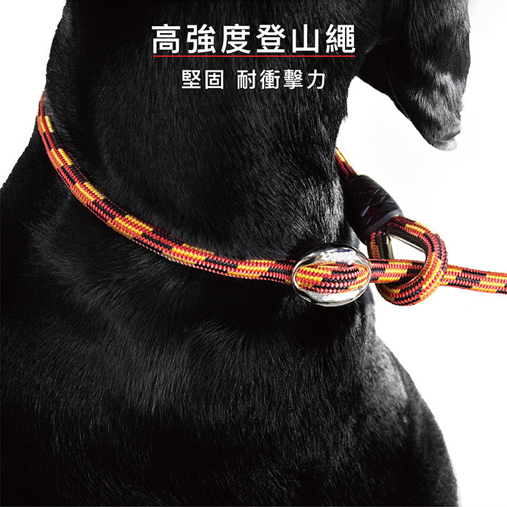 【福爾摩沙寵物精品】澳洲 EzyDog 路卡2合1牽繩170cm P字鍊+牽繩二合一-細節圖6