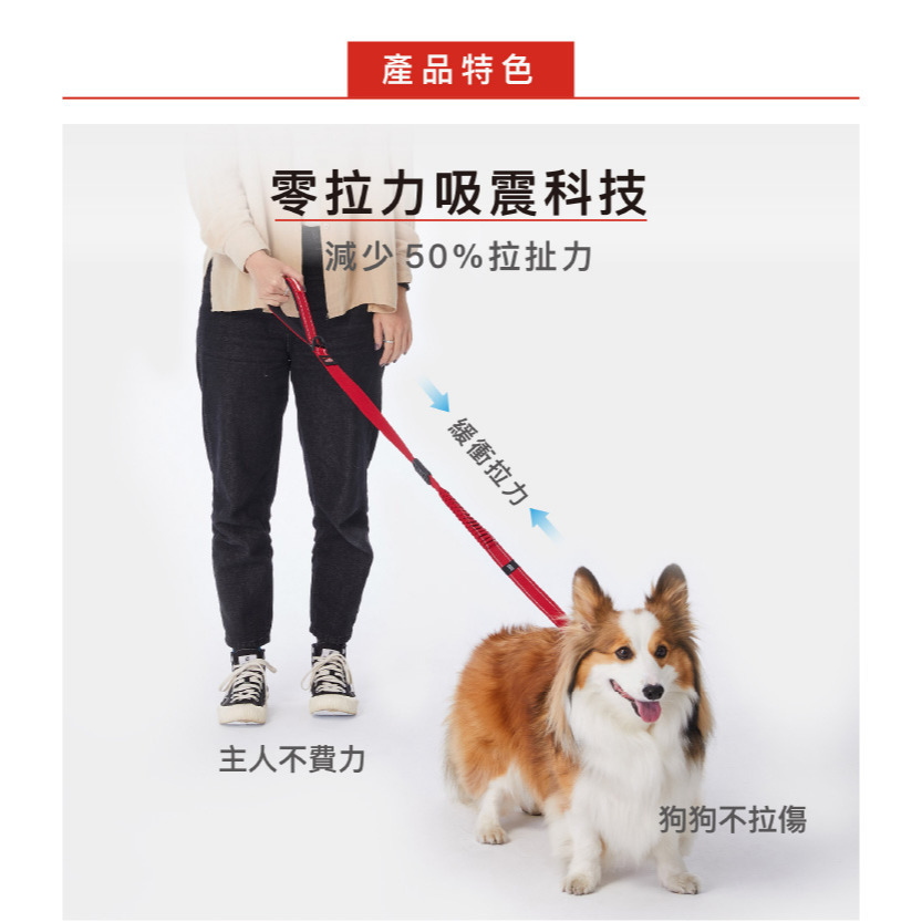 【福爾摩沙寵物精品】澳洲 EzyDog 零拉力牽繩 《120公分》 防暴衝 零拉力吸震設計｜軟觸感織帶增加舒適度｜-細節圖2