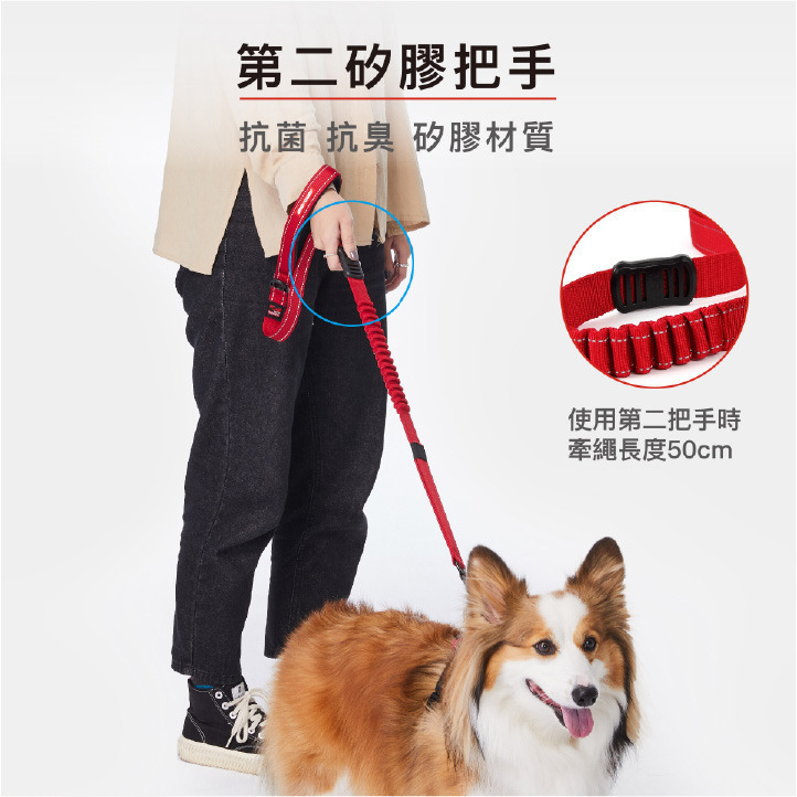 【福爾摩沙寵物精品】澳洲 EzyDog 零拉力牽繩 《120公分》 防暴衝 零拉力吸震設計｜軟觸感織帶增加舒適度｜-細節圖4