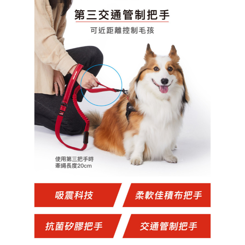 【福爾摩沙寵物精品】澳洲 EzyDog 零拉力牽繩 《120公分》 防暴衝 零拉力吸震設計｜軟觸感織帶增加舒適度｜-細節圖5