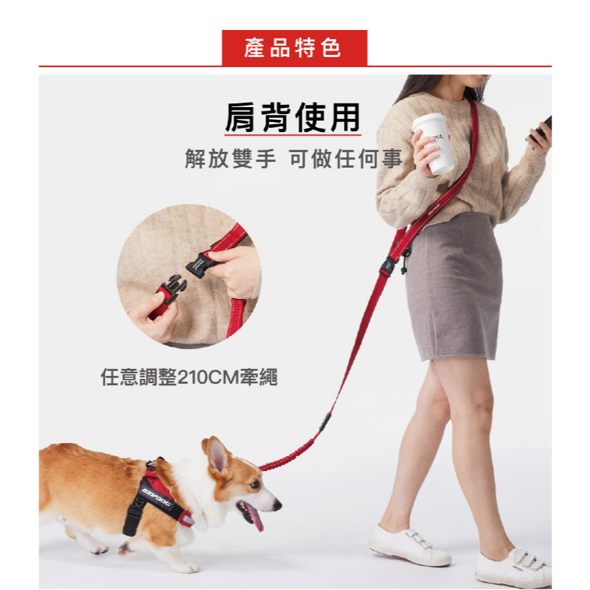 【福爾摩沙寵物精品】澳洲 EzyDog 零拉力跑步牽繩210cm 防暴衝 狗牽繩 寵物牽繩 狗狗牽繩 犬用牽繩-細節圖2