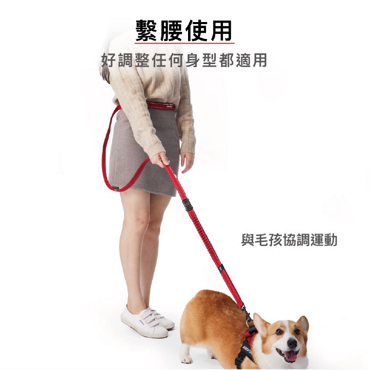 【福爾摩沙寵物精品】澳洲 EzyDog 零拉力跑步牽繩210cm 防暴衝 狗牽繩 寵物牽繩 狗狗牽繩 犬用牽繩-細節圖3