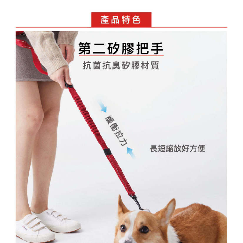 【福爾摩沙寵物精品】澳洲 EzyDog 零拉力跑步牽繩210cm 防暴衝 狗牽繩 寵物牽繩 狗狗牽繩 犬用牽繩-細節圖7