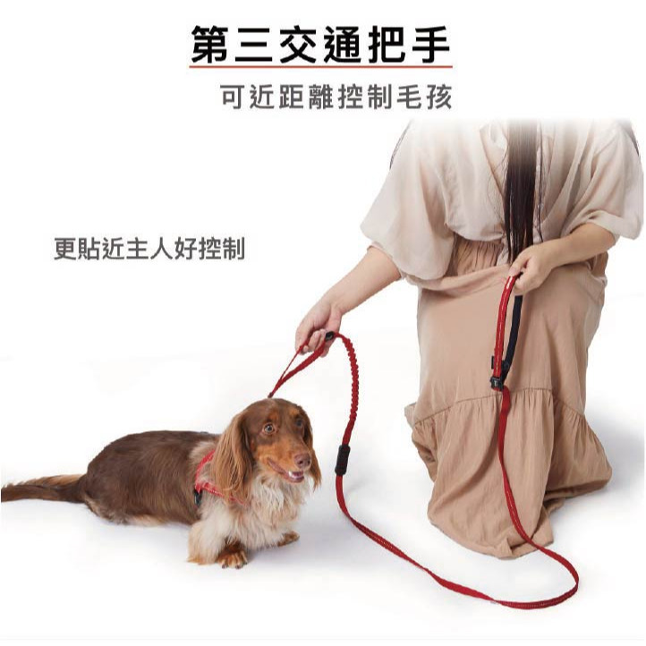 【福爾摩沙寵物精品】澳洲 EzyDog 零拉力跑步牽繩210cm 防暴衝 狗牽繩 寵物牽繩 狗狗牽繩 犬用牽繩-細節圖8