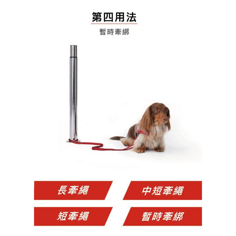 【福爾摩沙寵物精品】澳洲 EzyDog 法力歐4多功能牽繩180cm｜長短可調整｜狗牽繩｜狗拉繩 寵物牽繩寵物外出-細節圖5