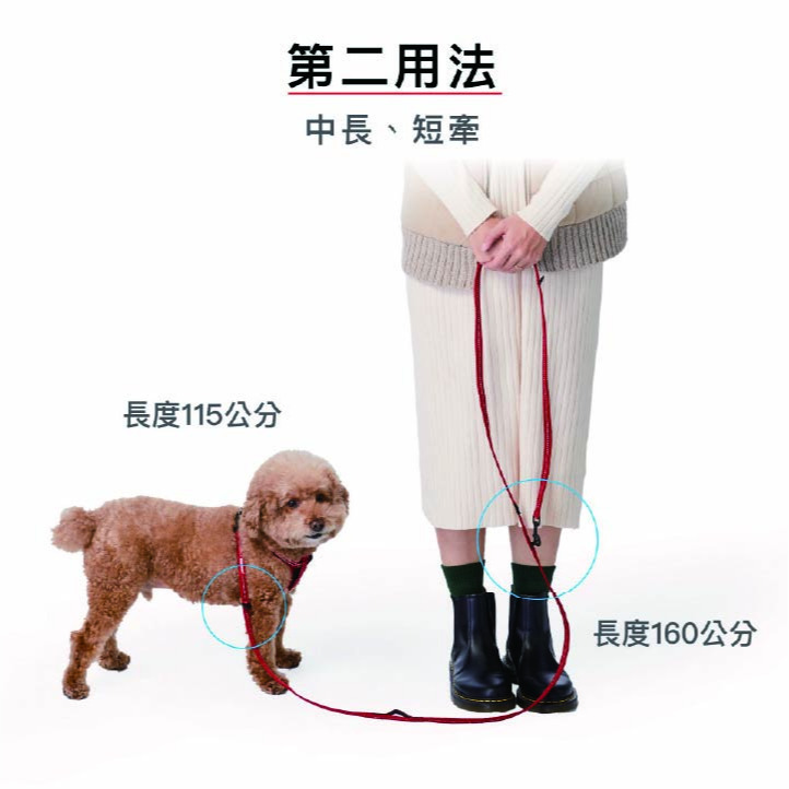 【福爾摩沙寵物精品】澳洲 EzyDog 法力歐6多功能牽繩｜雙層加厚織帶｜多功能牽繩｜寵物專用｜狗牽繩-細節圖3