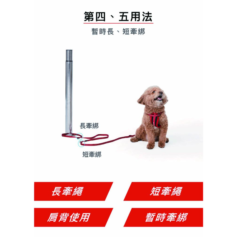 【福爾摩沙寵物精品】澳洲 EzyDog 法力歐6多功能牽繩160公分｜雙層加厚織帶｜多功能牽繩｜寵物專用｜狗牽繩-細節圖5