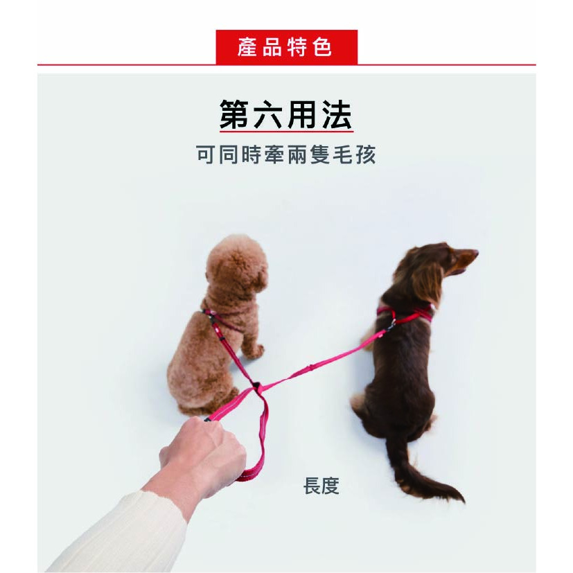 【福爾摩沙寵物精品】澳洲 EzyDog 法力歐6多功能牽繩160公分｜雙層加厚織帶｜多功能牽繩｜寵物專用｜狗牽繩-細節圖6