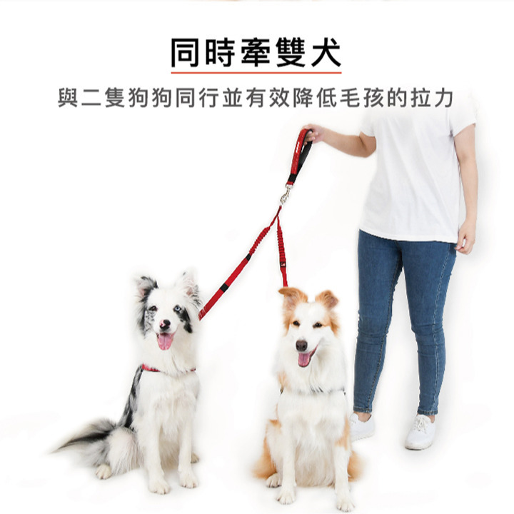 【福爾摩沙寵物精品】澳洲 EzyDog 零拉力雙延長繩 牽繩 狗牽繩 寵物牽繩-細節圖3