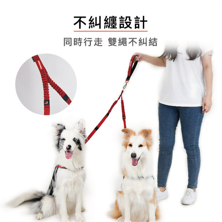 【福爾摩沙寵物精品】澳洲 EzyDog 零拉力雙延長繩 牽繩 狗牽繩 寵物牽繩-細節圖5