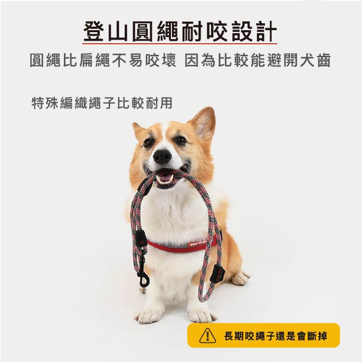 【福爾摩沙寵物精品】澳洲 EzyDog 頂峰牽繩 120cm 狗牽繩 負重扣環 強化耐用-細節圖4