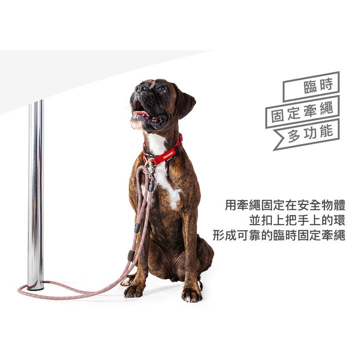 【福爾摩沙寵物精品】澳洲 EzyDog 海洋牽繩 170cm 不銹鋼帆船扣環 寵物牽繩 狗牽繩-細節圖5