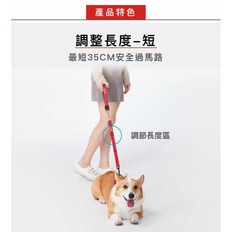 【福爾摩沙寵物精品】澳洲 EzyDog 軟觸感延長繩60cm｜織帶有反光設計｜ 狗牽繩 寵物牽繩-細節圖2