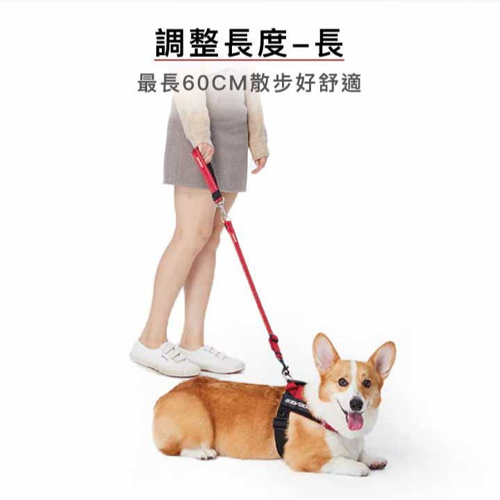 【福爾摩沙寵物精品】澳洲 EzyDog 軟觸感延長繩60cm｜織帶有反光設計｜ 狗牽繩 寵物牽繩-細節圖3