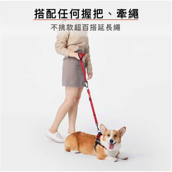 【福爾摩沙寵物精品】澳洲 EzyDog 軟觸感延長繩60cm｜織帶有反光設計｜ 狗牽繩 寵物牽繩-細節圖4