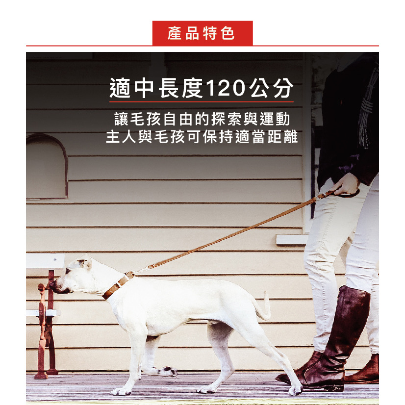 【福爾摩沙寵物精品】澳洲 EzyDog 牛津皮革牽繩108cm｜舒適內襯皮革紋理｜ 狗牽繩 寵物牽繩-細節圖2