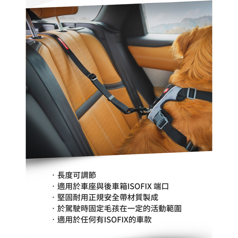 【福爾摩沙寵物精品】澳洲 EzyDog ISOFIX寵物車用安全帶 標準版/加長版｜汽車安全帶材質-細節圖3