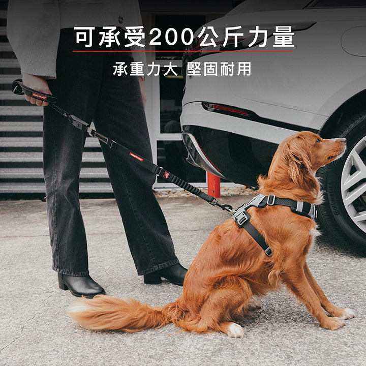 【福爾摩沙寵物精品】澳洲 EzyDog 車用轉換牽繩｜搭配 EzyDog 安全帶使用 寵物牽繩 狗牽繩-細節圖7