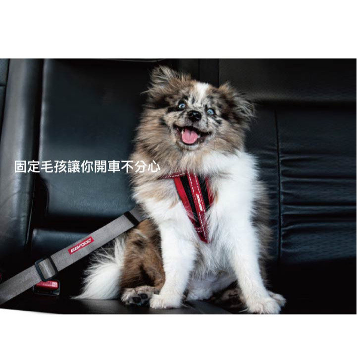 【福爾摩沙寵物精品】澳洲 EzyDog 寵物車用安全帶｜汽車安全帶材質-細節圖3