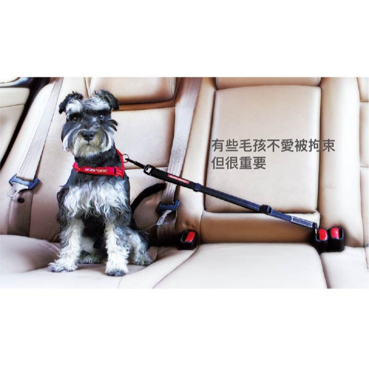 【福爾摩沙寵物精品】澳洲 EzyDog 寵物車用安全帶｜汽車安全帶材質-細節圖5