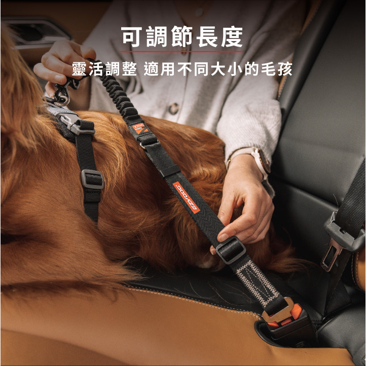 【福爾摩沙寵物精品】澳洲 EzyDog 零拉力寵物車用安全帶 ｜汽車安全帶材質｜零拉力吸震科技-細節圖6