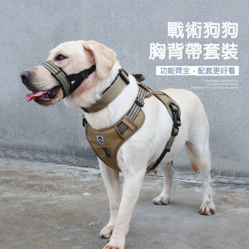 【福爾摩沙寵物精品】FM-773 中大型犬用戰術胸背帶套裝 寵物胸背帶 防暴衝