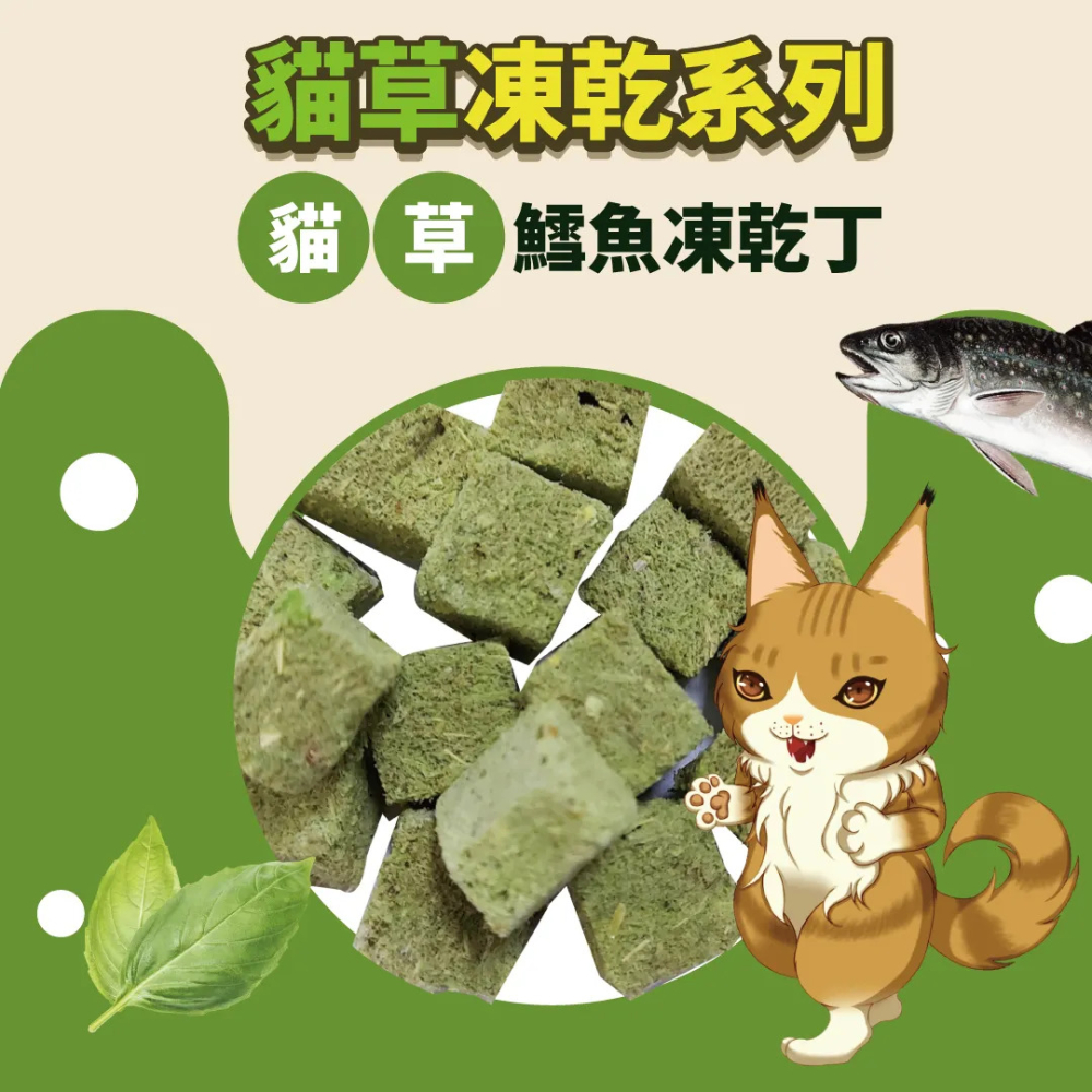 【福爾摩沙寵物精品】Cat Glory 驕傲貓 貓草凍乾丁 貓零食 貓凍乾-細節圖2