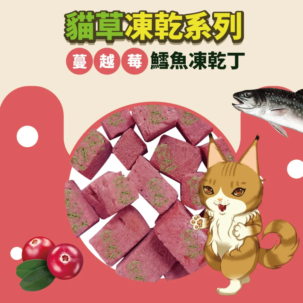 【福爾摩沙寵物精品】Cat Glory 驕傲貓 貓草凍乾丁 貓零食 貓凍乾-細節圖3