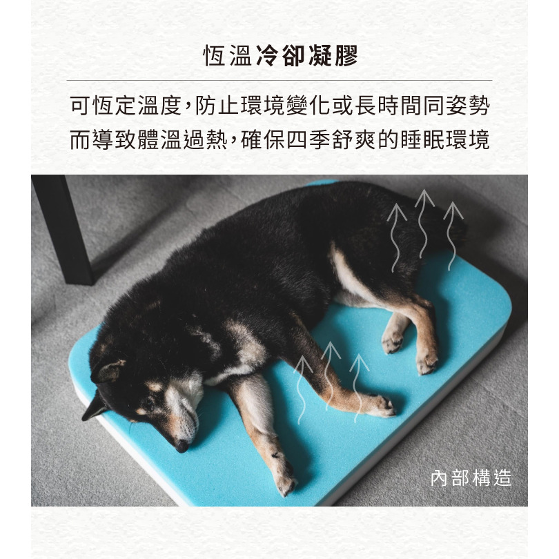 【福爾摩沙寵物精品】澳洲 EZYDOG 二合一Smart恆溫記憶寵物床(送客製化側貼1片)狗床 寵物床墊 狗窩 寵物墊-細節圖5