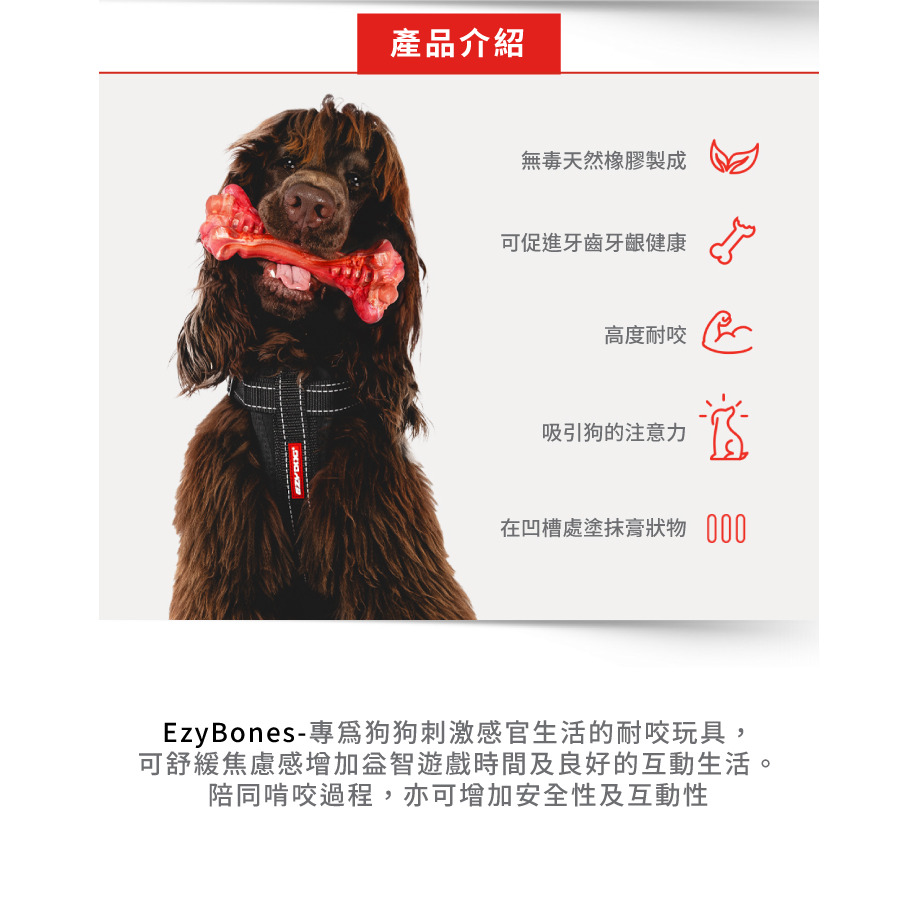 【福爾摩沙寵物精品】澳洲 EZYDOG 天然橡膠牛骨 耐咬玩具 狗玩具 狗骨頭-細節圖4