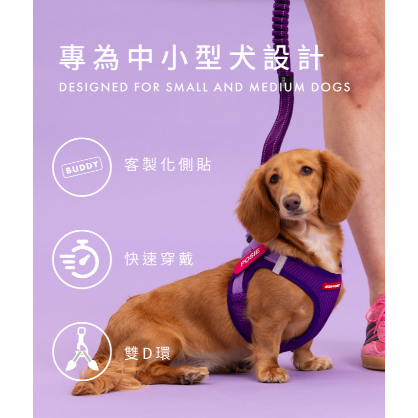 【福爾摩沙寵物精品】《現貨供應贈好禮》澳洲EzyDog 動能胸背帶 狗胸背帶 貓胸背帶 狗背帶 寵物背帶-細節圖2