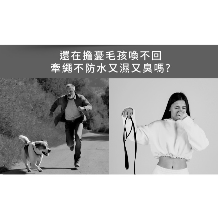 【福爾摩沙寵物精品】澳洲 EzyDog 專業5米圓形防水訓練繩 防水牽繩 狗牽繩 寵物牽繩-細節圖3