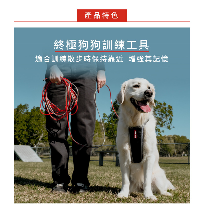【福爾摩沙寵物精品】澳洲 EzyDog 專業5米圓形防水訓練繩 防水牽繩 狗牽繩 寵物牽繩-細節圖4