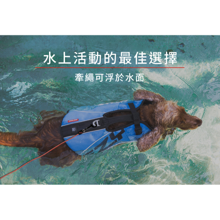 【福爾摩沙寵物精品】澳洲 EzyDog 專業5米圓形防水訓練繩 防水牽繩 狗牽繩 寵物牽繩-細節圖5