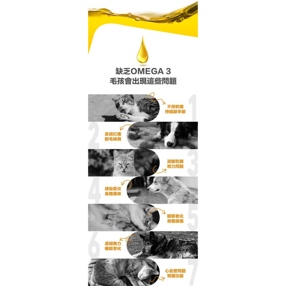 【福爾摩沙寵物精品】袋鼠廚房 純天然挪威鮭魚油 犬貓可用 寵物魚油 貓咪魚油 狗狗魚油 500ml-細節圖3