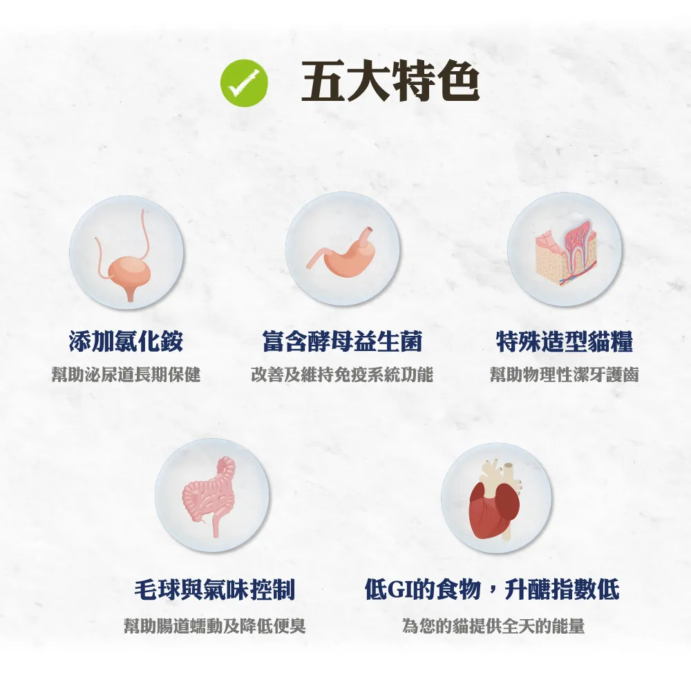 【福爾摩沙寵物精品】A Star 無穀成貓用幫助泌尿關節潔牙配方 貓飼料 貓糧 貓乾糧-細節圖5