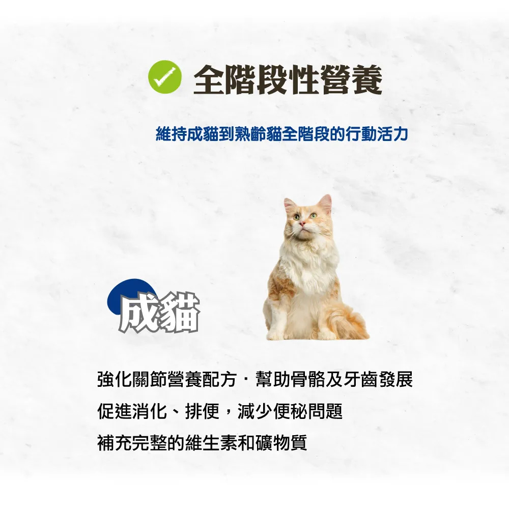 【福爾摩沙寵物精品】A Star 無穀成貓用幫助泌尿關節潔牙配方 貓飼料 貓糧 貓乾糧-細節圖6