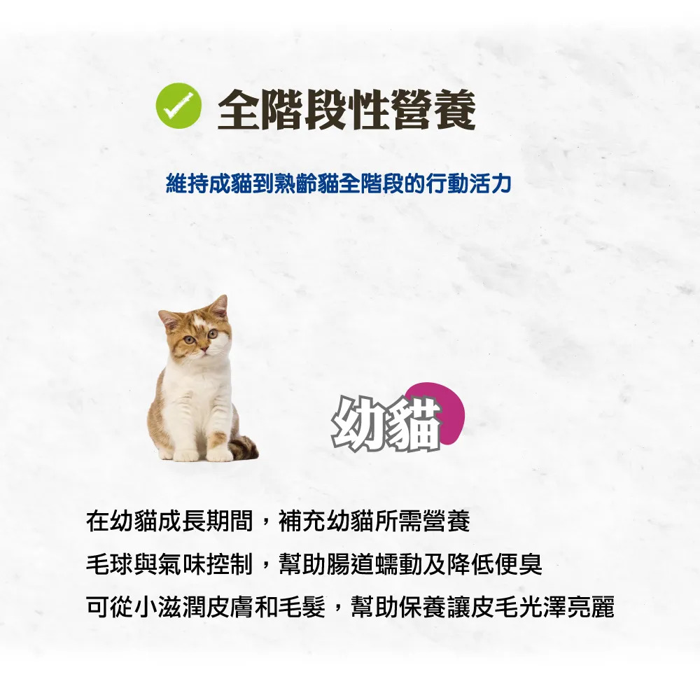 【福爾摩沙寵物精品】A Star 無穀幼貓懷孕貓用幫助泌尿護齒配方 貓飼料 貓糧 貓乾糧-細節圖6