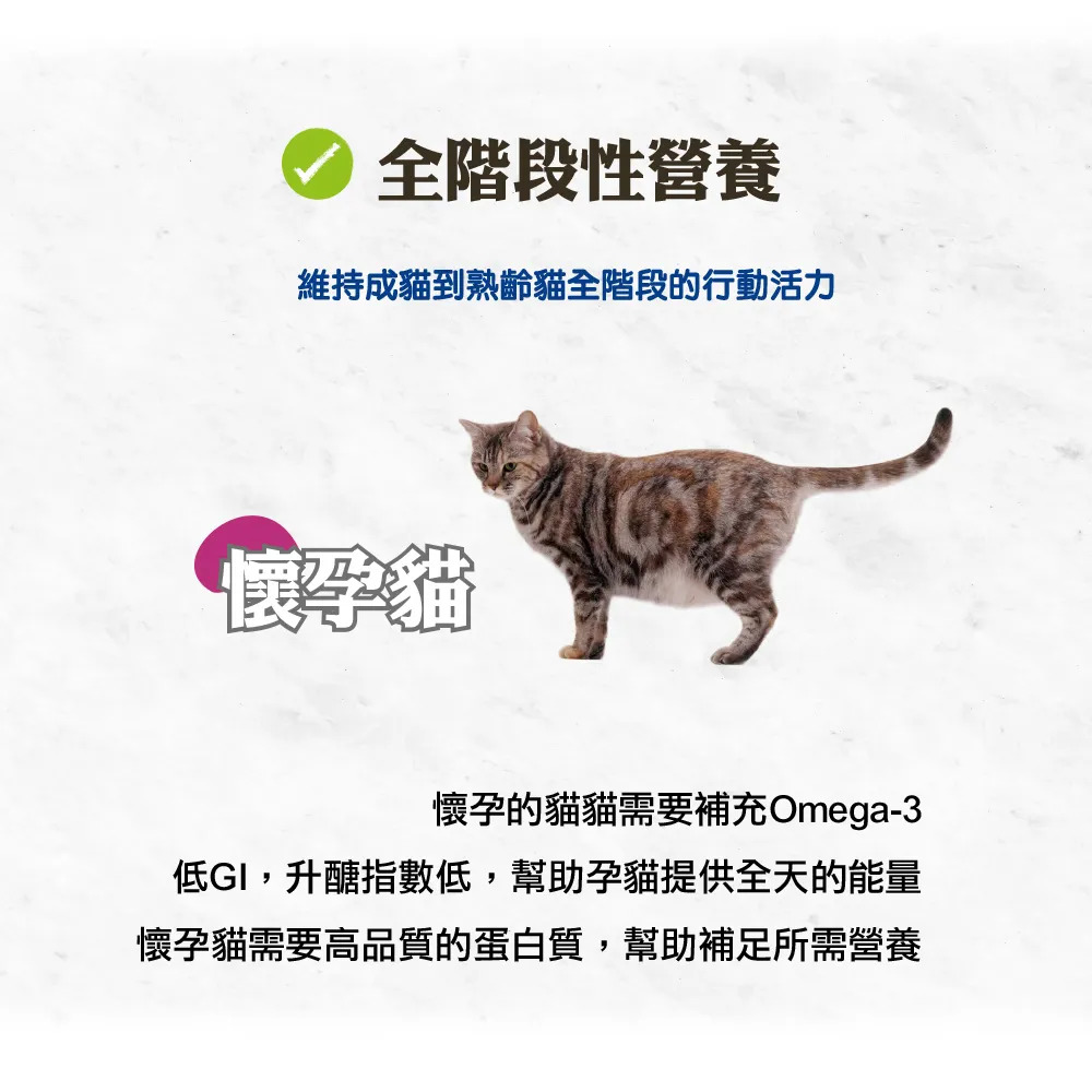 【福爾摩沙寵物精品】A Star 無穀幼貓懷孕貓用幫助泌尿護齒配方 貓飼料 貓糧 貓乾糧-細節圖7