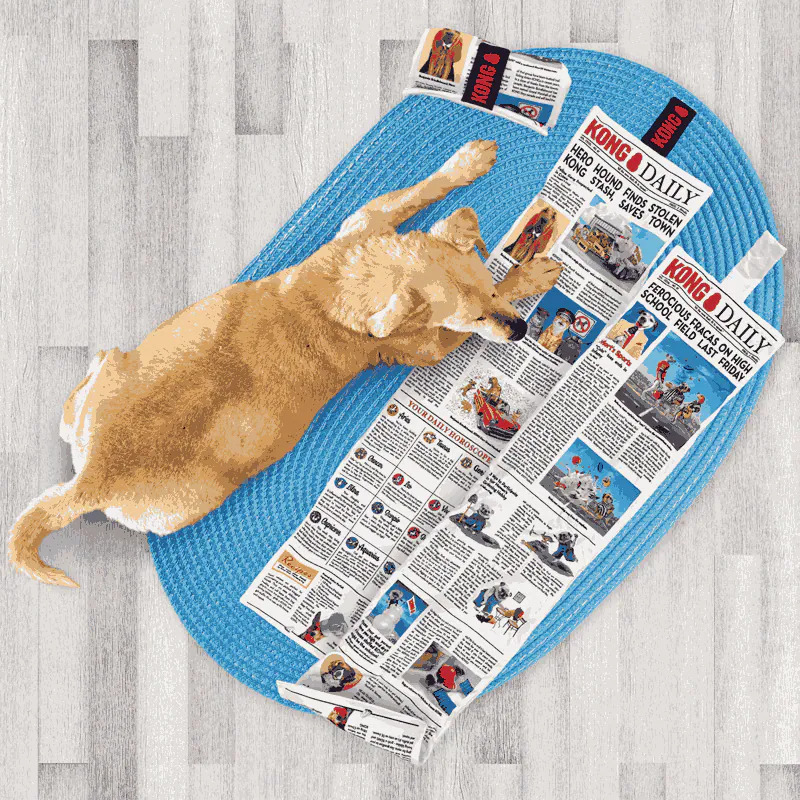 【福爾摩沙寵物精品】美國 KONG 巨大日報 狗玩具 寵物玩具 發聲玩具-細節圖2